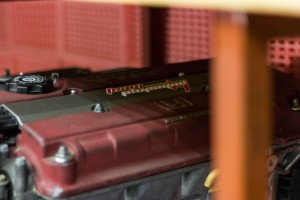 IMG_8929